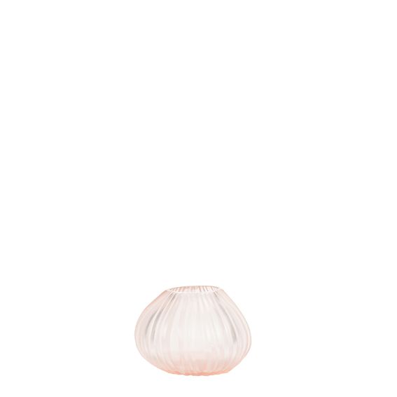 YEOLA S rose